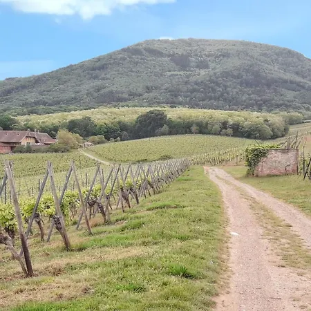 Maison De Charme A Avec Jardin Et Terrasse Feriehus *