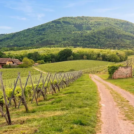 Maison De Charme A Avec Jardin Et Terrasse Prázdninový dům *